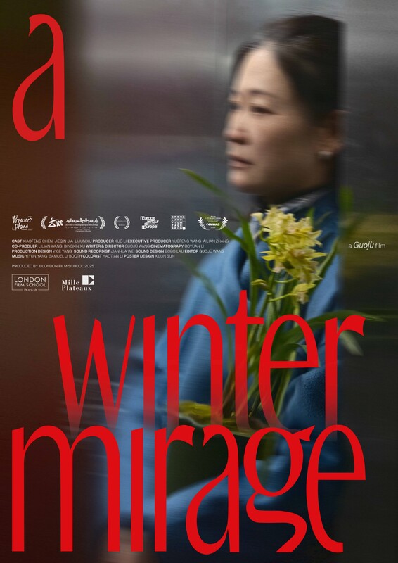 A Winter Mirage poster